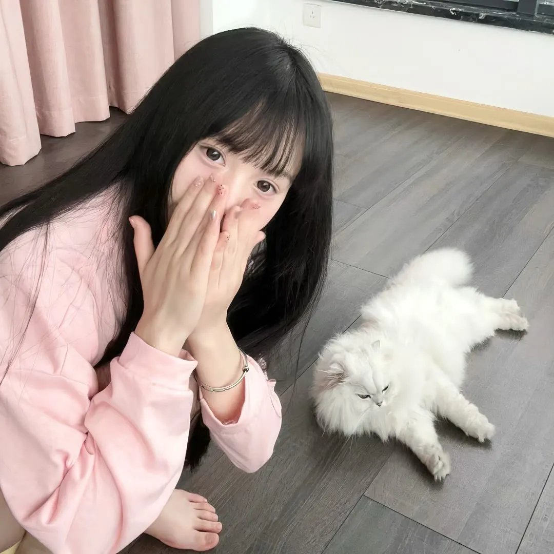 狐蝠